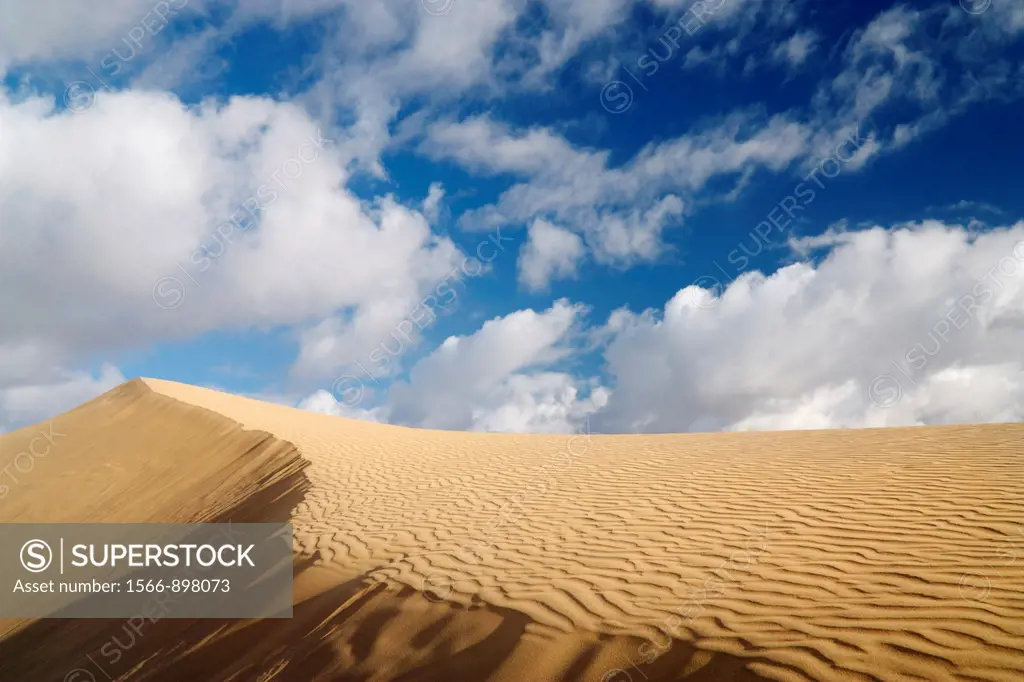 Maspalomas dunes, Maspalomas, Gran Canaria, Canary Islands, Spain