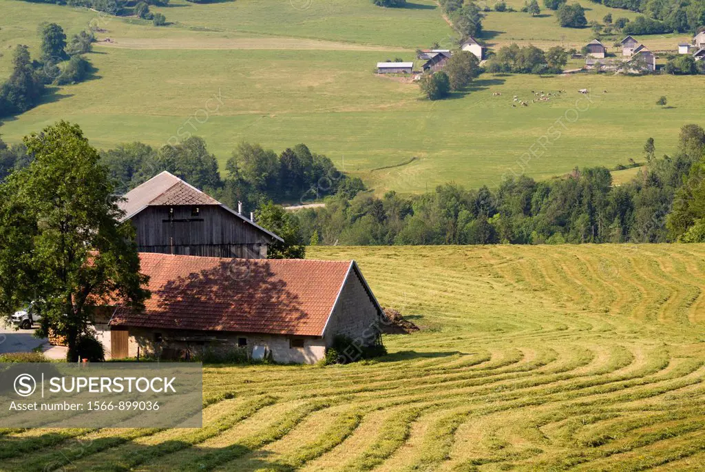 France - Savoie - Bauges National Park - landscape with farm buildings