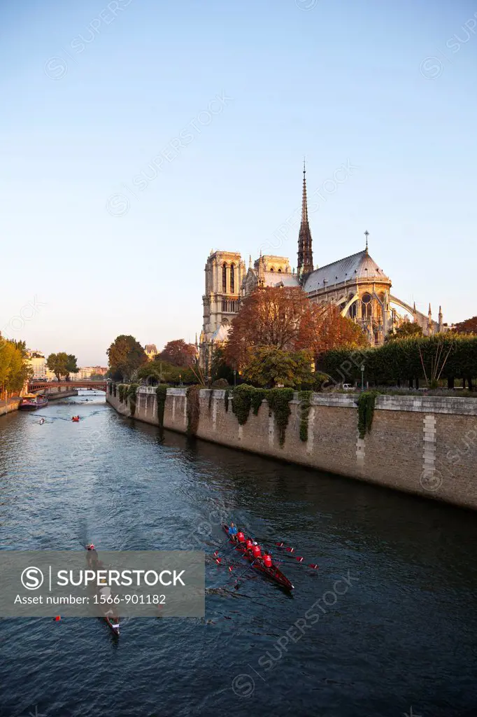 View of Notre Dame, Paris, Ile de France, France, Europe