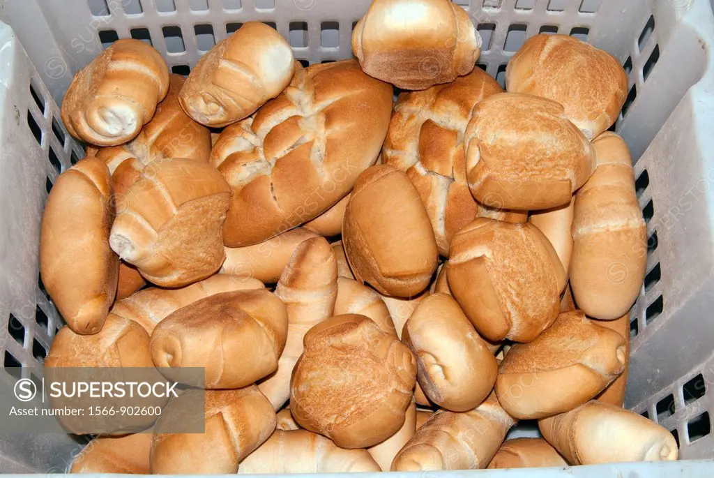Bread Panini,in a basket, Italian cooking, Italy