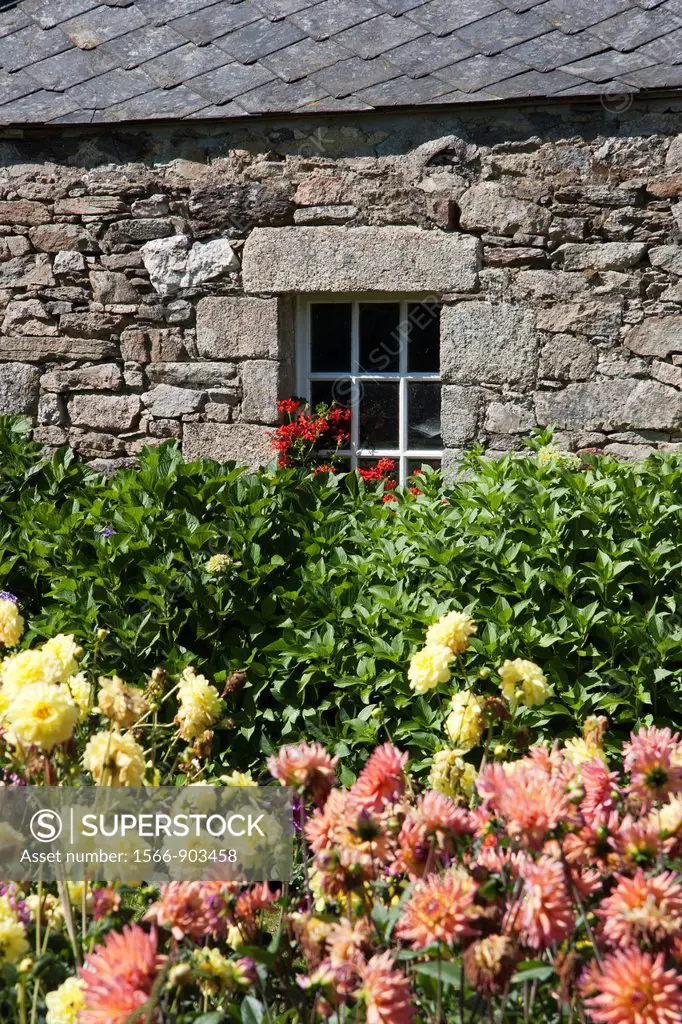 Old stone wall, window and flower garden, Brittany, France