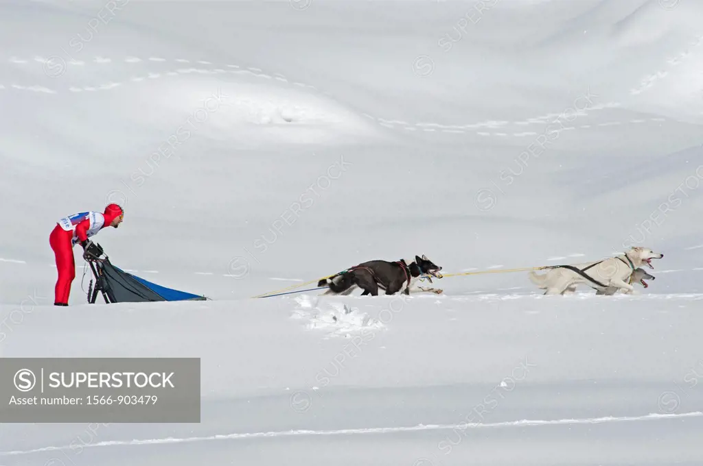International Dog Sled Race, Gadmen, Bernese Oberland, Switzerland