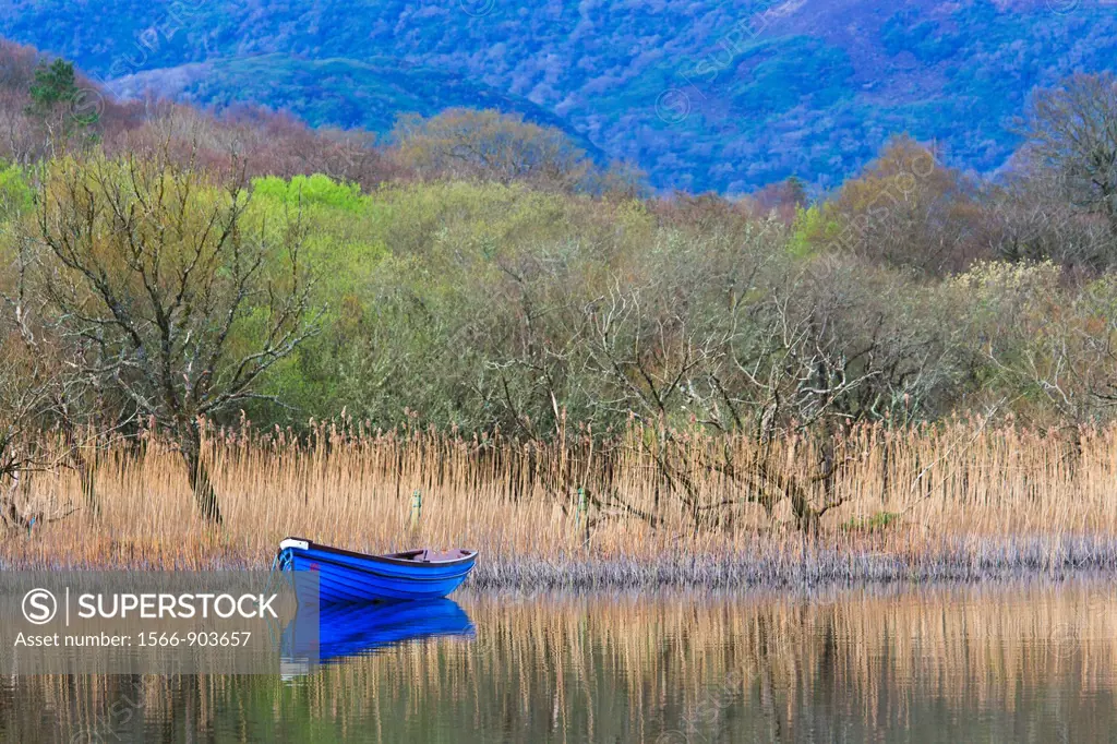 Blue boat on the Killarney Lake, Killarney National Park, County Kerry, Ireland, Europe
