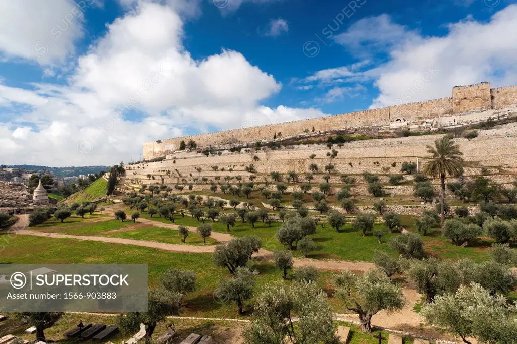 Israel, Jerusalem, city walls from the Valley of Jehoshaphat, morning