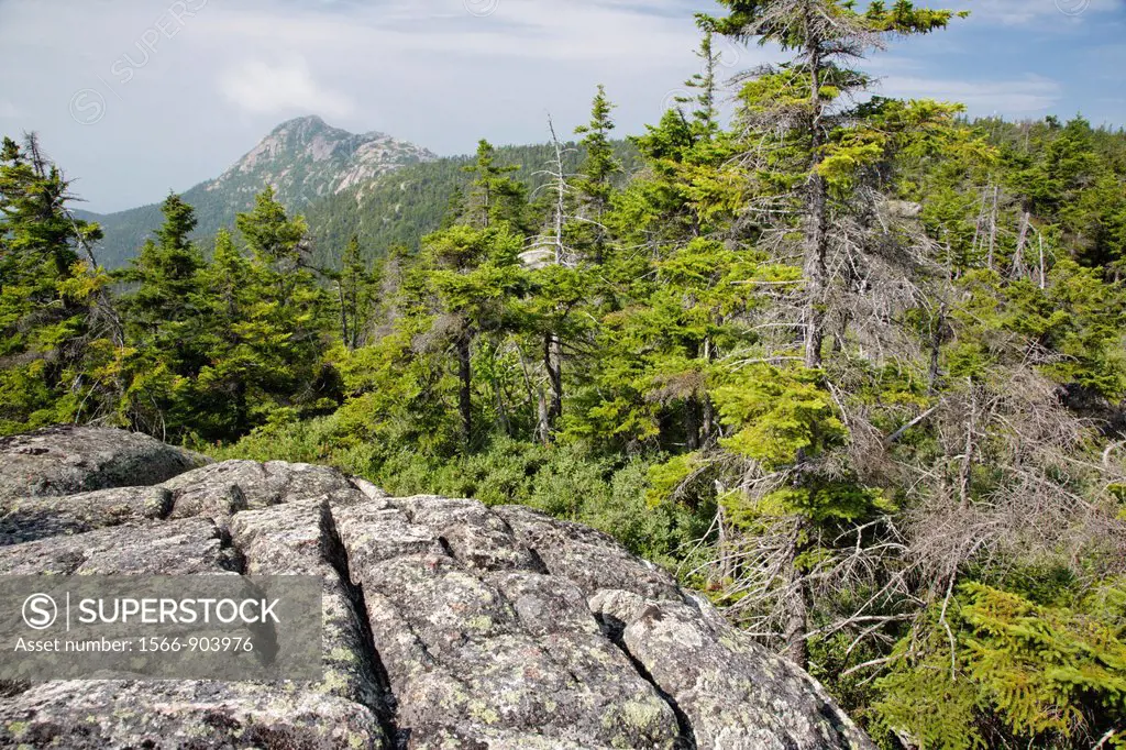 Mount Chocorua from Middle Sister Trail in the White Mountains, New Hampshire USA on a early hot and hazey summer day  Pieces of the old fire tower on...