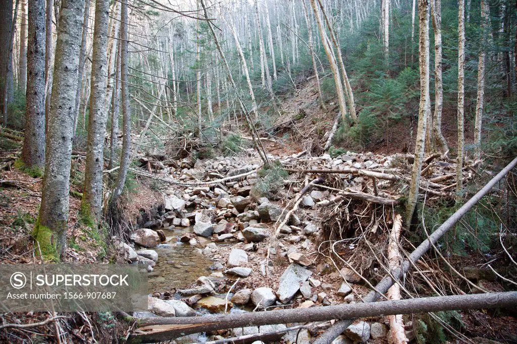 Landslide on the side of the Hancock Mountain Range in the Pemigewasset Wilderness of Lincoln, New Hampshire USA  Heavy rains from Tropical Storm Iren...