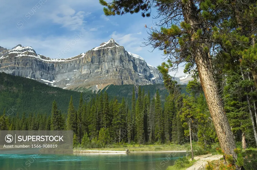 Epaulette Mountain and Mistaya River, Banff National Park Alberta Canada