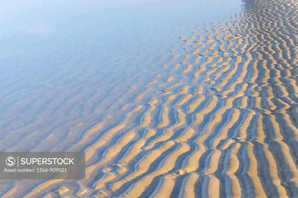 Close-up of ripples in sand, Germany, Schleswig Holstein, Sylt, North Frisian Islands, Hoernum, North Sea