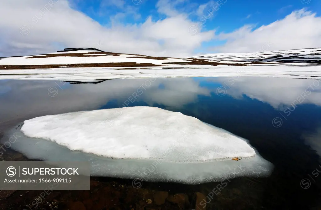 Ice and reflections in a lake, Eastern Fjords, Iceland