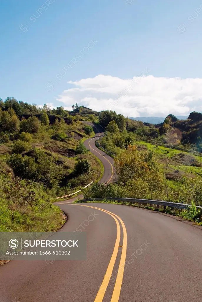 Road to Waimea Canyon, Kauai, Hawaii, USA