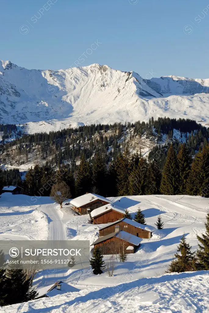 Mont Caly chalets, Les Gets, Haute-Savoie department, Rhone-Alpes region, France, Europe