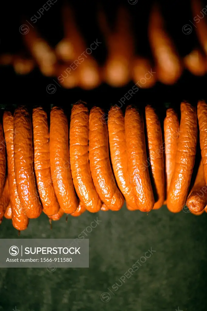 Close-up of many brown sausages hanging in a smokehouse and being cured, Germany, Europe