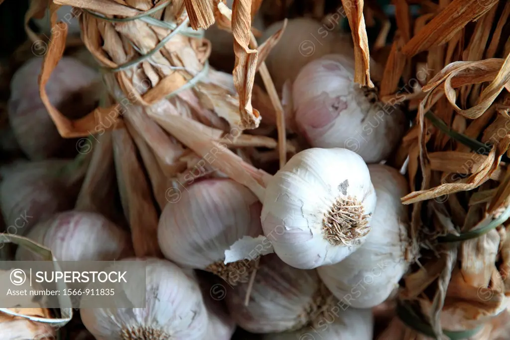 Raw garlic, Bolhao old market in Porto, Portugal