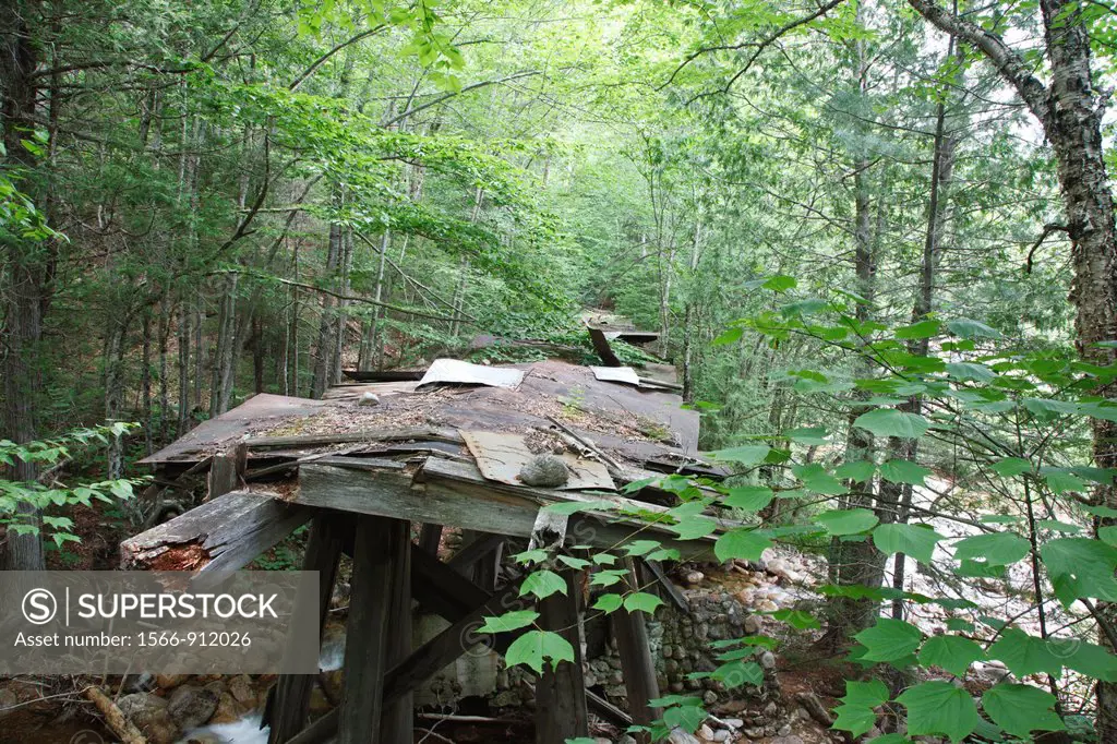 Built in the early 1900s, Trestle No. 16 crosses Black Brook along the old East Branch & Lincoln Railroad (1893-1948) in the Pemigewasset Wilderness o...