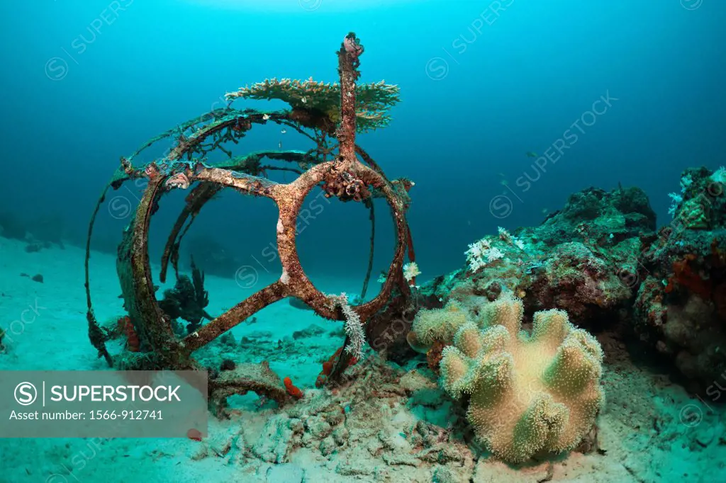 Wreckage at Ahe Housreef, Cenderawasih Bay, West Papua, Indonesia