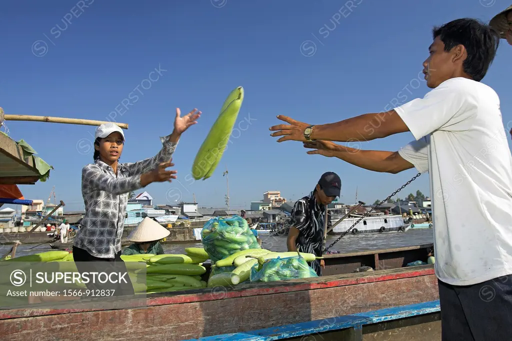 Young man throwing winter melons boat to boat Cai Ran floating market near Can Tho Vietnam