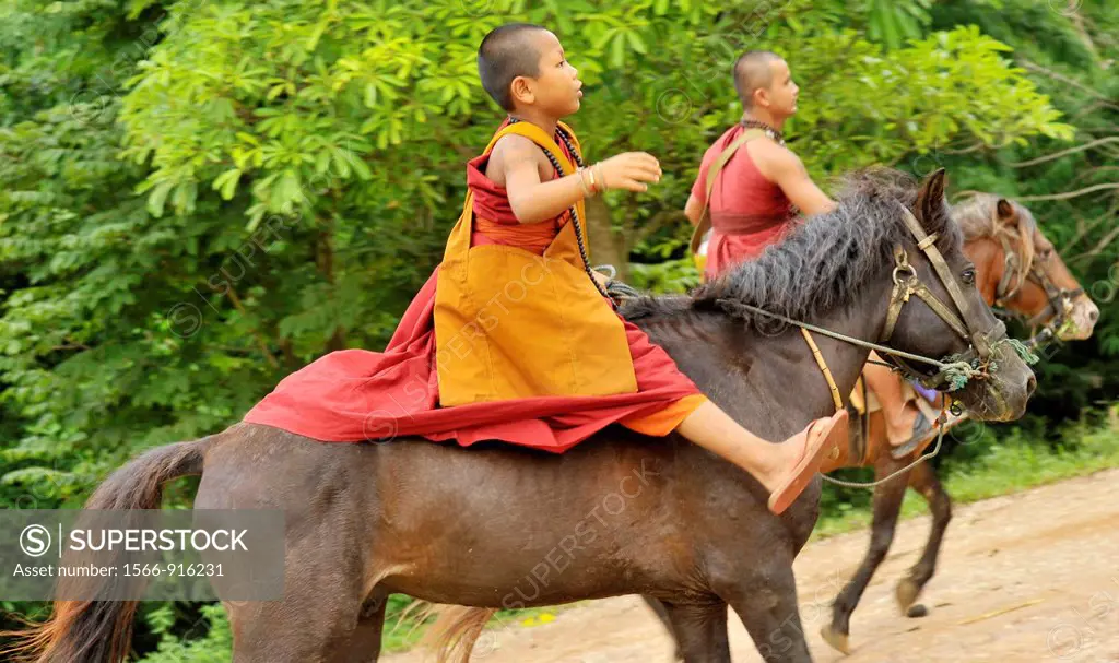 monk and novice are riding horse going to collecting alms offerings , Wat Tam Pa Ar-Cha Thong, Chiangrai, North of Thailand