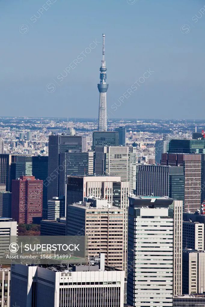 Japan-Tokyo City-Tokyo Skyline-Central Tokyo and Sky Tree Tower