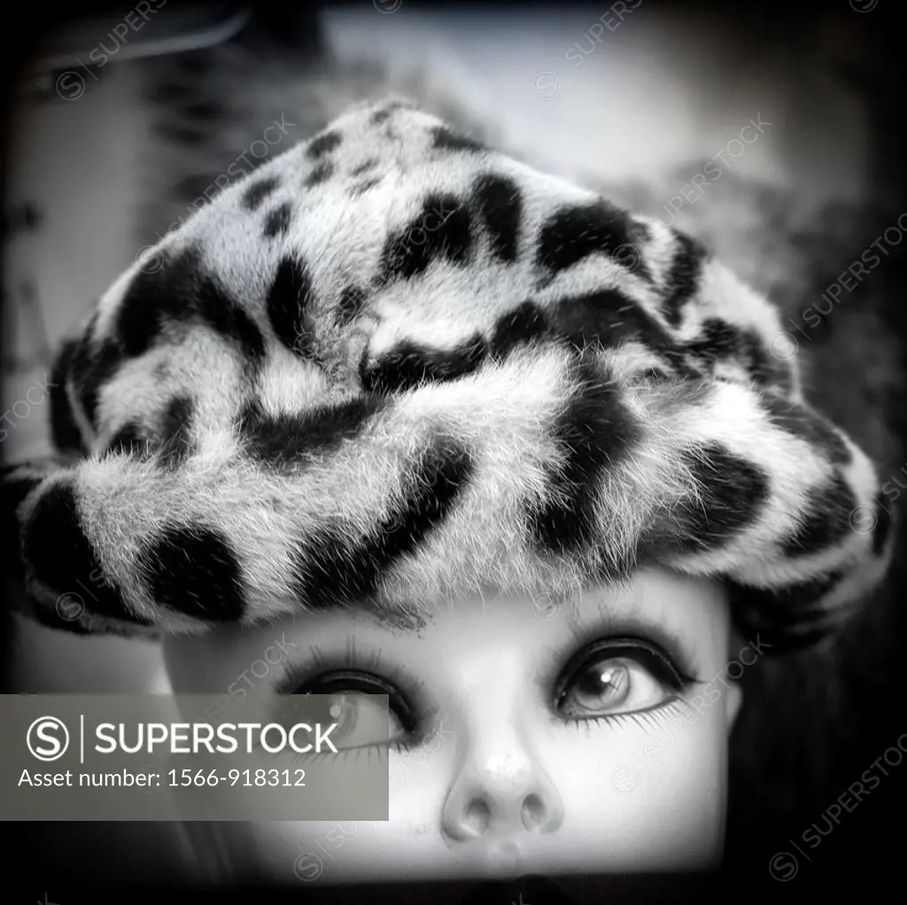 photograph of a female mannequin face of a hat with animal print
