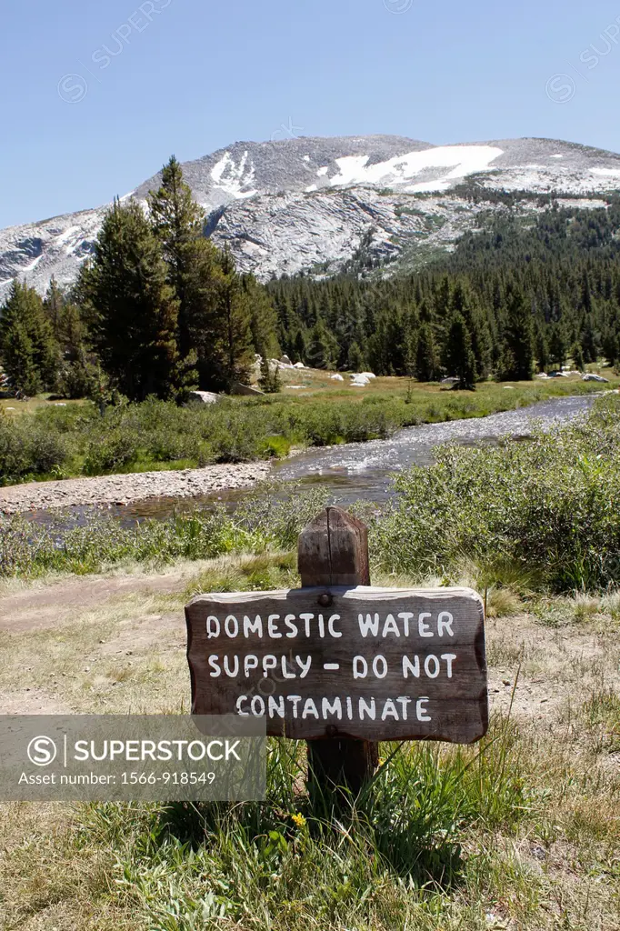 Drinking water, Yosemite National Park, California, Usa