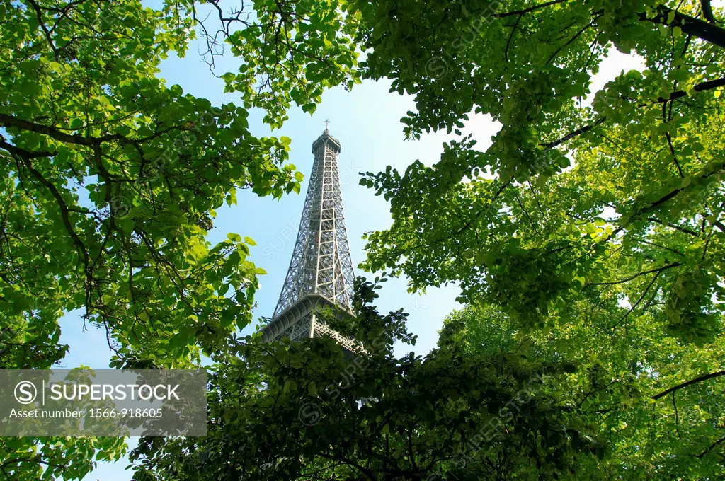 Paris - France -Eifel Tower - Through trees