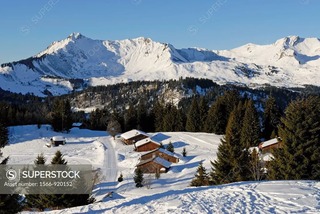 Mont Caly chalets, Les Gets, Haute-Savoie department, Rhone-Alpes region, France, Europe