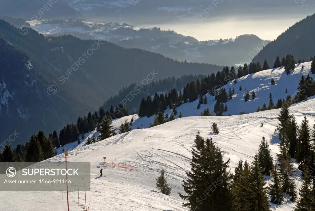 Les Gets, Haute-Savoie department, Rhone-Alpes region, France, Europe