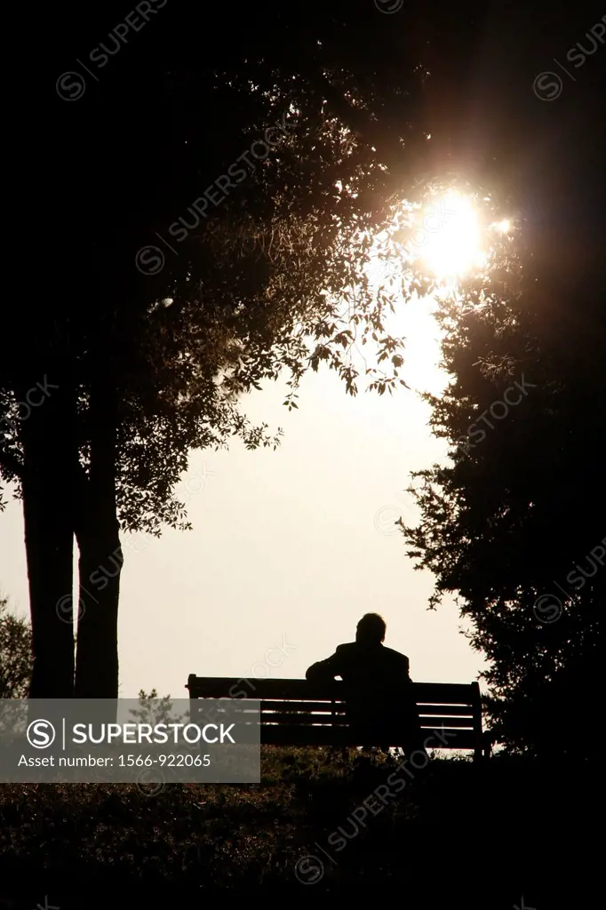 man sitting on park bench in woods forest in countryside at sunset