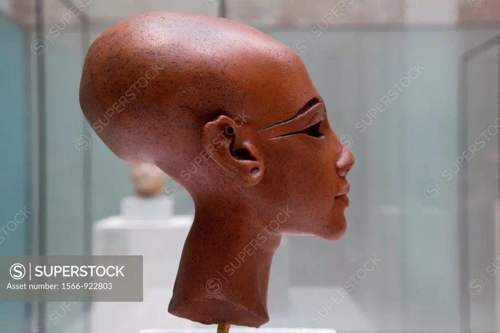 Princess of the Akhénaton family, Amarna Period, stone head in Neues museum, Berlin, Germany, Europe