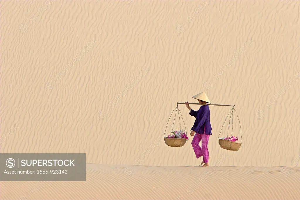 Woman with conical hat carries flowers in pannier baskets across white sand dunes near Mui Ne Vietnam