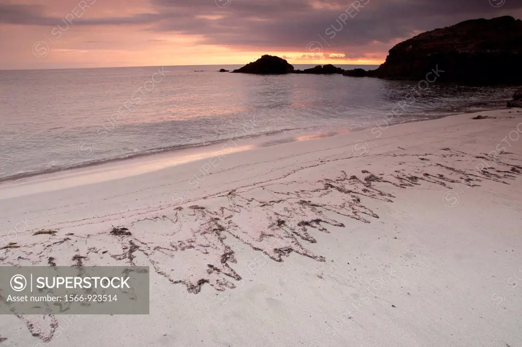 Platja den Tortuga beach, Minorca, Balearic Islands, Spain