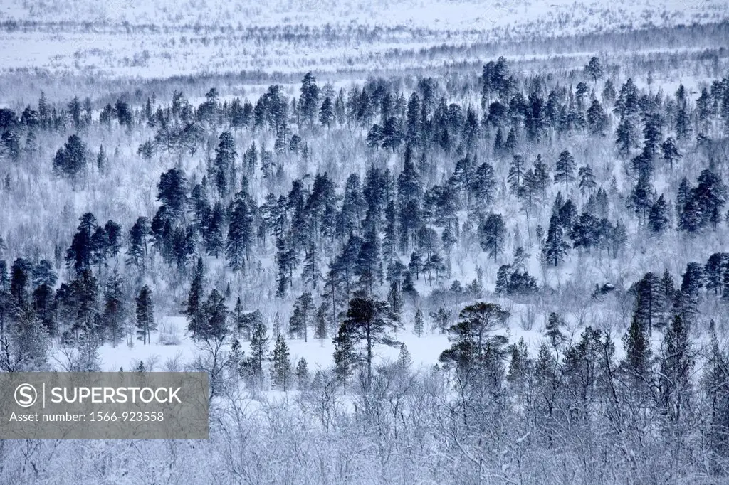 landscape of Northern Finland