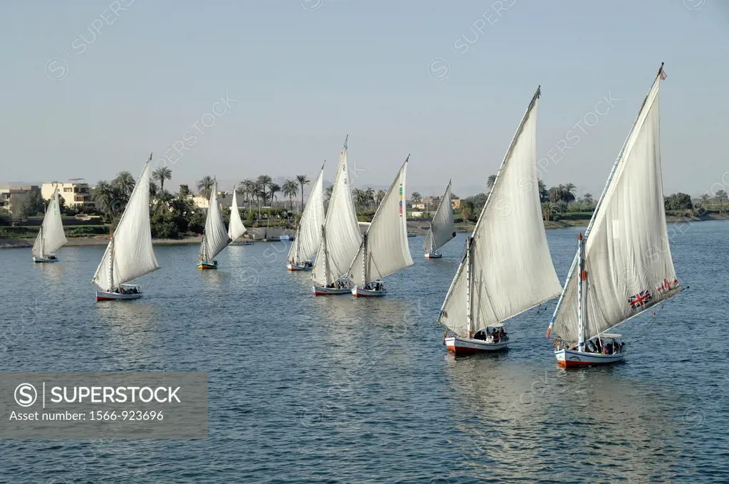 Egypt,river Nile with traditional sailboats feluccas at Luxor