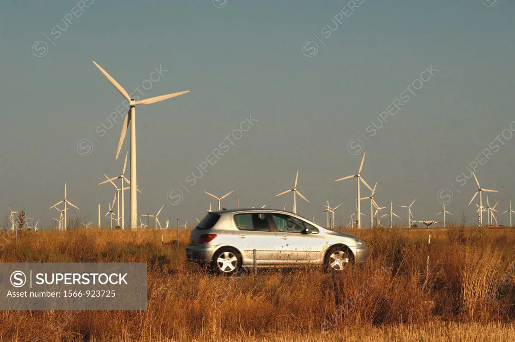 Windfarm, La Muela, Zaragoza province, Spain