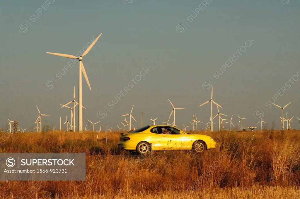 Windfarm, La Muela, Zaragoza province, Spain