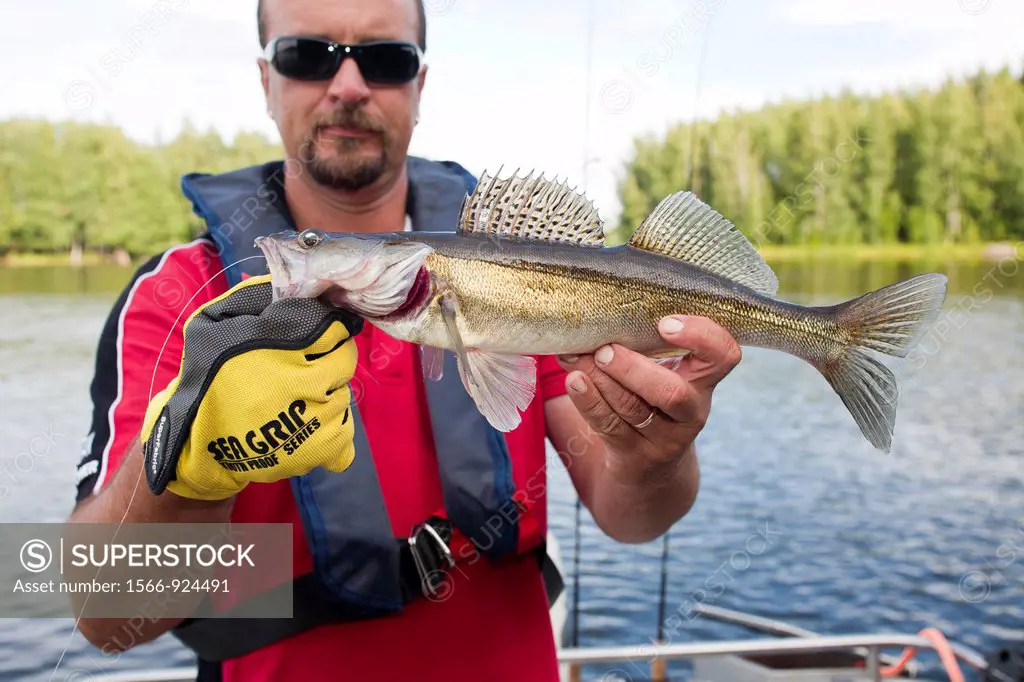 fisherman, motorboat for fishing, rautavesi lake, vammala village area, finland, europe