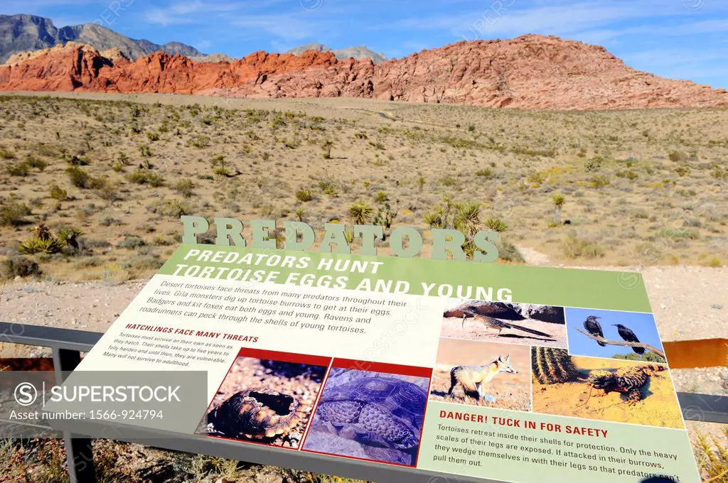 Visitors Red Rock Canyon Conservation Area Las Vegas Nevada