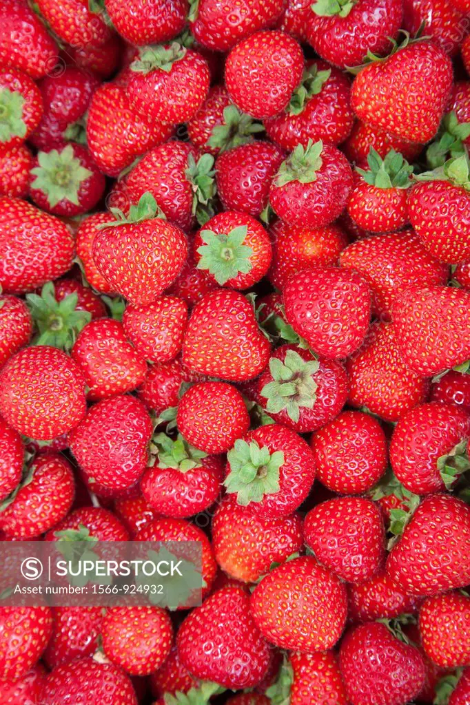 strawberries, tammelantori market, tampere, finland, europe