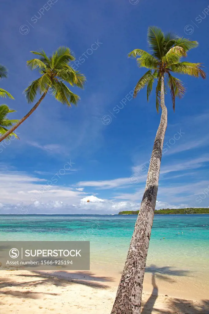 Palm trees, Shangri-La Fijian Resort, Yanuca Island, Coral Coast, Viti Levu, Fiji, South Pacific