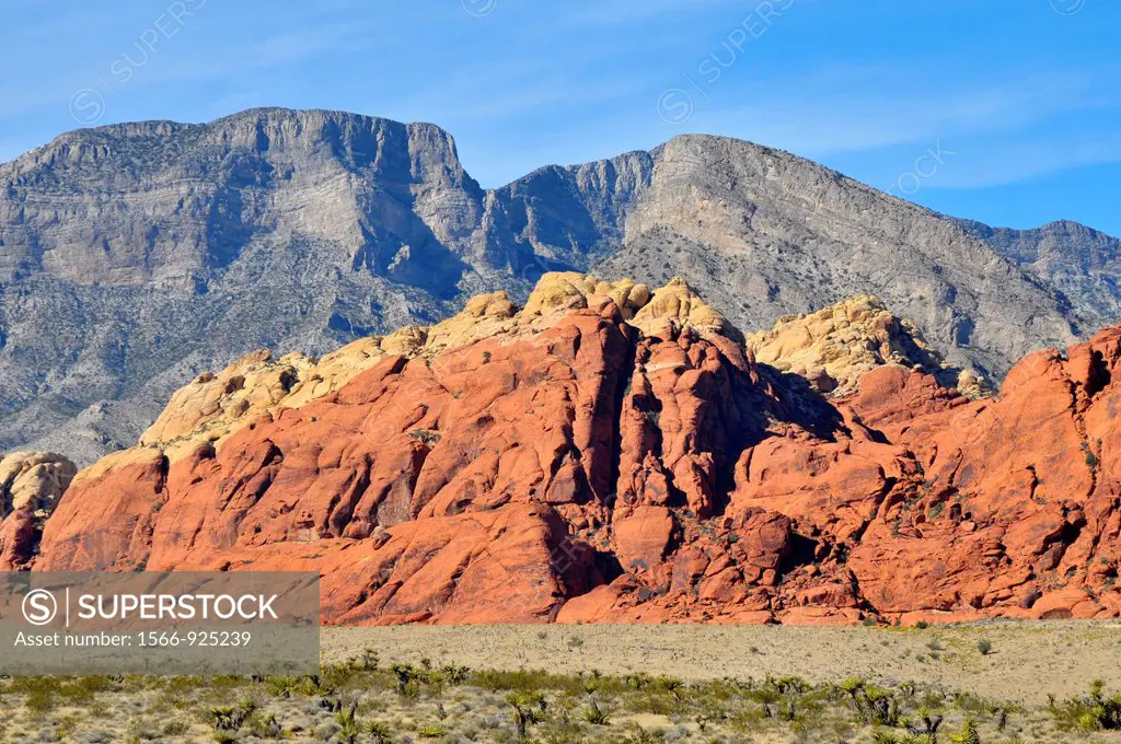 Red Rock Canyon Conservation Area Las Vegas Nevada