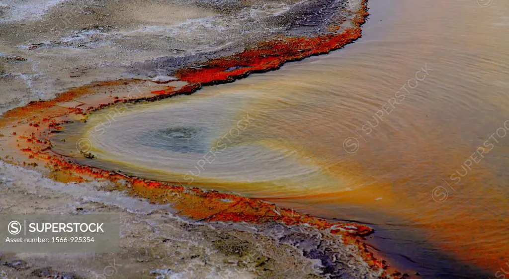 A hot spring shows its bubbles and bacteria-produced colors at the Black Sand Geyser Basin at Yellowstone National Park, Wyoming