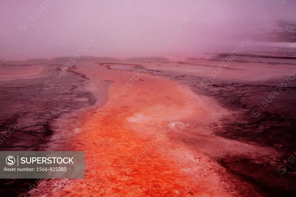 Run off from the hot spring,Grand Prismatic Spring,produces brilliant colors from the microorganisms and thermophiles it contains  At Yellowstone Nati...