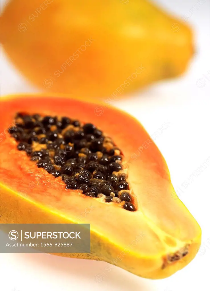 Paw Paw or Papaya, carica papaya, Exotic Fruit against White Background