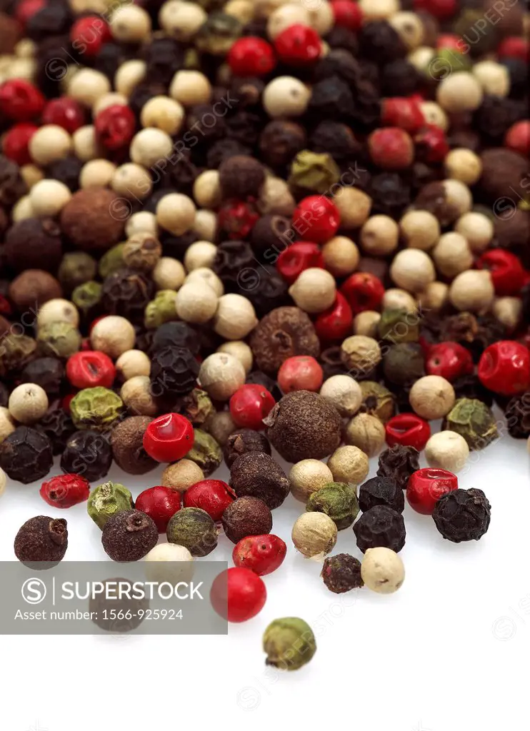 Five Peppercorns, piper nigrum, Black, Green, White, Pink and Jamaica Pepper, Berries against White Background