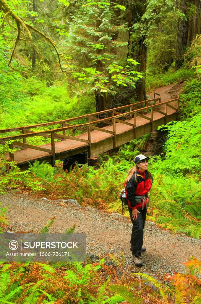 Trail bridge on James Irvine Trail, Prairie Creek Redwoods State Park, Redwood National Park, California