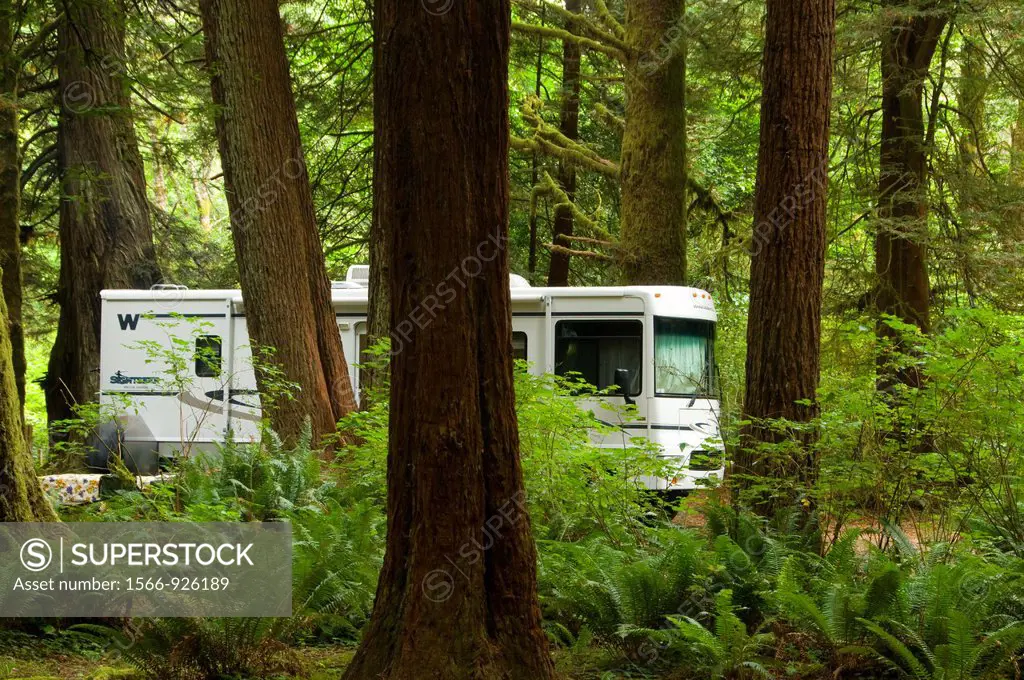Motorhome in campground, Prairie Creek Redwoods State Park, Redwood National Park, California, USA