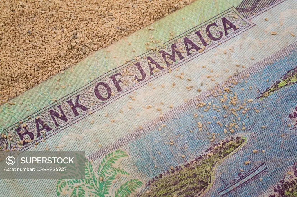 Close-up of a Bank of Jamaica currency bank note on a coarse-grained sand background, Studio Composition