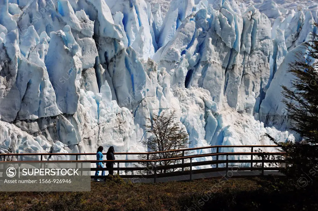 Perito Moreno Glacier, around El Calafate, Santa Cruz province, Patagonia, Argentina, South America
