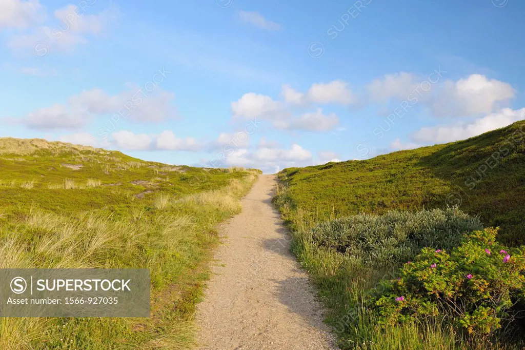 Pathway up to beach, Germany, Schleswig Holstein, Sylt, North Frisian Islands, Rantum, North Sea,