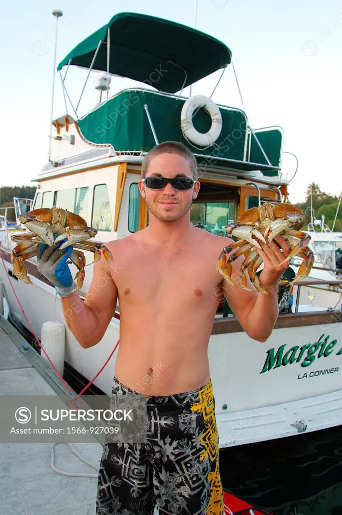 Dungeness Crabs, Friday Harbor, San Juan Islands, Washington State, USA
